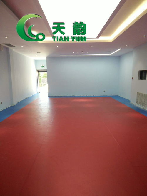 遼寧天韻塑膠地板批發(fā)運動塑膠地板批發(fā)