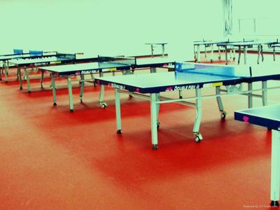 荷澤醫院塑膠地板,幼兒園塑膠地板,羽毛球地板,乒乓球地板_庫存體育運動產品
