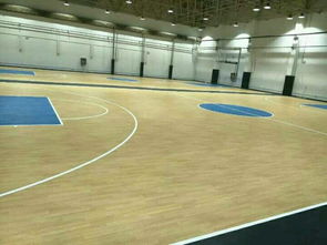 【室外塑膠籃球場,運動塑膠地板,奧麗奇塑膠地板】- 